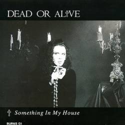 Dead Or Alive : Something in My House